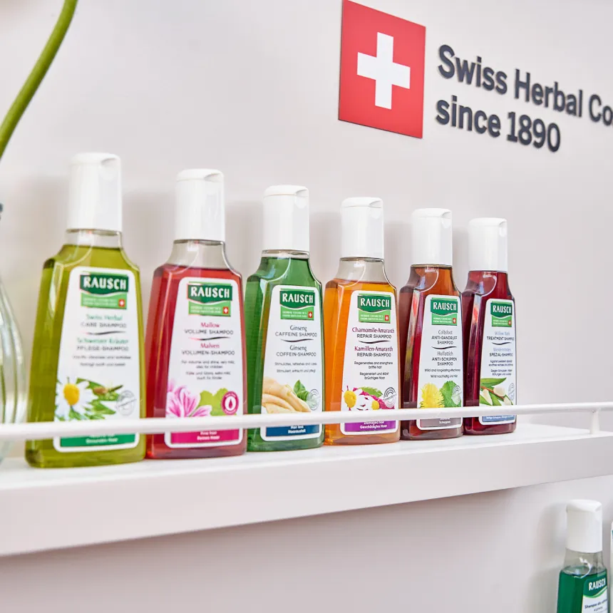 Swiss Days x Vlaekan